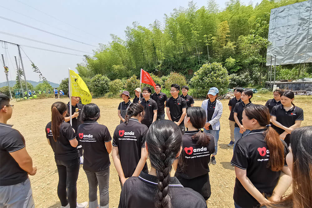 Compras de agencia por 99 dólares